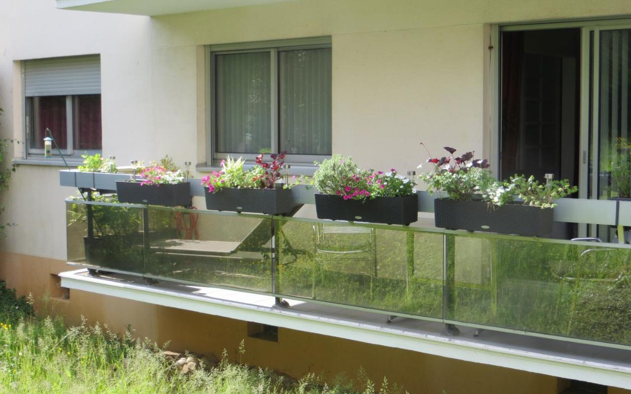 Mes Oasis Nancy Bed and Breakfast Villers-lès-Nancy Εξωτερικό φωτογραφία